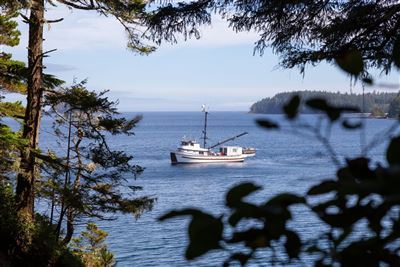 Fischerboot vor Port Hardy